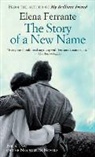 Elena Ferrante - The Story of a New Name