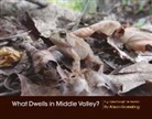 Alison Goessling - What Dwells in Middle Valley?: Volume 1