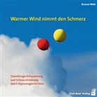 Daniel Wilk - Warmer Wind nimmt den Schmerz, 1 Audio-CD (Hörbuch)