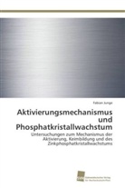 Fabian Junge - Aktivierungsmechanismus und Phosphatkristallwachstum