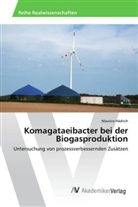 Maurice Hädrich - Komagataeibacter bei der Biogasproduktion