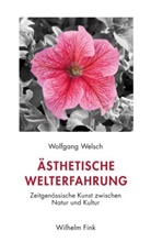 Wolfgang Welsch - Ästhetische Welterfahrung