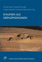 Johannes Bartuschat, Johannes Bartuschat u a, Nicol Gess, Nicola Gess, Hugue Marchal, Hugues Marchal... - Staunen als Grenzphänomen