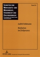 Judith Volkmann, Gerald Spindler - Mediation im Zivilprozess