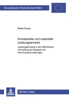 Beate Busse - Immaterielle und materielle Leistungsanreize