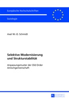 Axel Schmidt, Axel W. -O. Schmidt, Axel W.-O. Schmidt - Selektive Modernisierung und Strukturstabilität