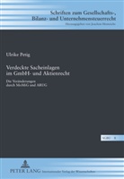 Ulrike Petig - Verdeckte Sacheinlagen im GmbH- und Aktienrecht
