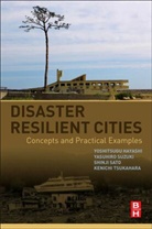 Yoshitsugu Hayashi, Yoshitsugu (Professor &amp; Director Hayashi, Yoshitsugu Suzuki Hayashi, Hayashi Yoshitsugu, Professor Shinji Sato, Shinji Sato... - Disaster Resilient Cities