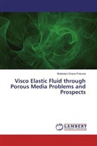 Mulakaluri Gnana Prasuna - Visco Elastic Fluid through Porous Media Problems and Prospects
