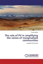 Pouya Sepehr - The role of PV in amplifying the voices of marginalised communities