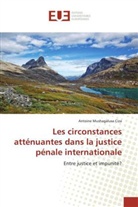 Antoine Mushagalusa Ciza - Les circonstances atténuantes dans la justice pénale internationale