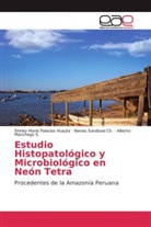 Alberto Manchego S., Shirley Mari Palacios Huayta, Shirley Marie Palacios Huayta, Nieves Sandoval Ch, Nieves Sandoval Ch. - Estudio histopatológico y microbiológico en Neón Tetra