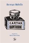 Herman Melville - Cartas a Hawthorne : cartas a sus hijos