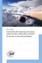 Ahmad Batikh - Contrôle de l'aérodynamique externe des véhicules aériens