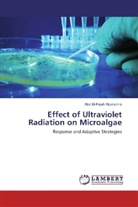 Abd El-Fatah Abomohra - Effect of Ultraviolet Radiation on Microalgae