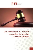Fiston Le Bref Kalombo Kandu Mwabilay - Des limitations au pouvoir congolais de révision constitutionnelle
