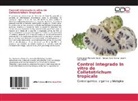 Sergi Ayvar Serna, Sergio Ayvar Serna, D, José F. Díaz Nájera, Pedro Jesú Plancarte Galán, Pedro Jesús Plancarte Galán - Control integrado in vitro de Colletotrichum tropicale