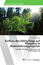 Stephanie Sosada - Einfluss des Kahlschlags auf Phosphor in Bodenmikroaggregaten