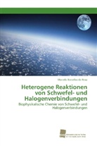 Marcelo Barcellos Da Rosa - Heterogene Reaktionen von Schwefel- und Halogenverbindungen