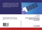 Same Abdellatif, Sameh Abdellatif, Khale Kirah, Khaled Kirah, Hani G Wagdy Anis, Hani Ghali Wagdy Anis - Study of the Photovoltaic Behavior of Coaxial Nanowires