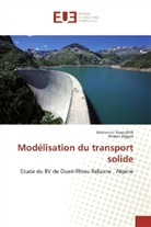 Mohame Bousalhih, Mohamed Bousalhih, Houari Zeggai - Modélisation du transport solide