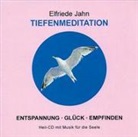 Elfriede Jahn - Tiefenmeditation (Audiolibro)