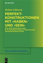 Melitta Gillmann - Perfektkonstruktionen mit 'haben' und 'sein'