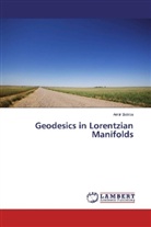 Amir Botros - Geodesics in Lorentzian Manifolds