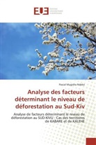 Pascal Mugisho Ndeko - Analyse des facteurs déterminant le niveau de déforestation au Sud-Kiv
