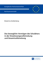 Ekaterina Goldenberg - Das bewegliche Vermögen des Schuldners in der Einzelzwangsvollstreckung und Gesamtvollstreckung