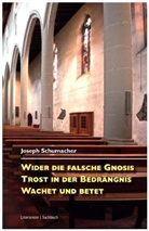 Joseph Schumacher - Wider die falsche Gnosis. Trost in der Bedrängnis. Wachet und betet