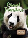 Tom Greve - Giant Pandas