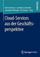Helmut Krcmar, Jan Marco Leimeister, Ja Marco Leimeister, Jan Marco Leimeister, Alexander Roßnagel, Alexander Rossnagel u a... - Cloud-Services aus der Geschäftsperspektive
