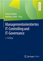 Stefa Helmke, Stefan Helmke, Uebel, Uebel, Matthias Uebel - Managementorientiertes IT-Controlling und IT-Governance