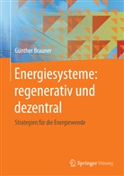 Günther Brauner - Energiesysteme: regenerativ und dezentral