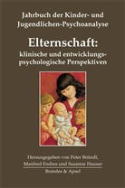 Tessa Baradon, Juliane Bründl, Peter Bründl, Peter Bründl, Manfre Endres, Manfred Endres... - Elternschaft: klinische und entwicklungspsychologische Perspektiven