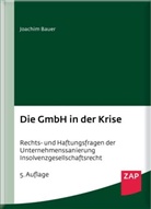 Joachim Bauer - Die GmbH in der Krise