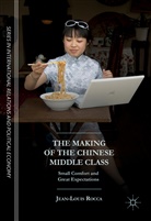 Jean-Louis Rocca, Jean-Louis (Ceri Sciences-Po in Paris) Rocca, Jean-Louise Rocca - The Making of the Chinese Middle Class