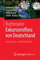 Friedric Ebel, Friedrich Ebel, Peter Hanelt, Peter Hanelt u a, Eckehart J. Jäger, Gerd Müller... - Exkursionsflora von Deutschland - 5: Krautige Zier- und Nutzpflanzen