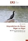 Abdou Bontianti - Dégradation du Fleuve Niger au Niger