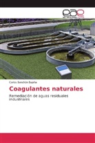 Carlos Banchón Bajaña - Coagulantes naturales