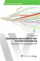 Manuel Weiland - Optimierungsmodell in der Energieversorgung