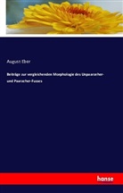 August Eber - Beiträge zur vergleichenden Morphologie des Unpaarzeher- und Paarzeher-Fusses