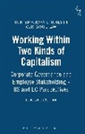 Irene Lynch Fannon, Irene Lynch-Fannon - Working Within Two Kinds of Capitalism