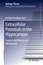 Antonio Fernández Ruiz - Extracellular Potentials in the Hippocampus