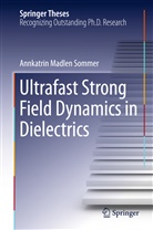 Annkatrin Madlen Sommer - Ultrafast Strong Field Dynamics in Dielectrics
