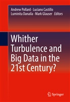 Lucian Castillo, Luciano Castillo, Luminita Danaila, Luminita Danaila et al, Mark Glauser, Andrew Pollard - Whither Turbulence and Big Data in the 21st Century?
