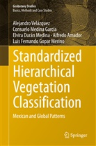 Alfredo Amador, Durán, Elvira Durán Medina, Luis Fernando Gopar Merino, Consuel Medina García, Consuelo Medina García... - Standardized Hierarchical Vegetation Classification