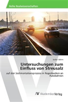 Stefan Böhm - Untersuchungen zum Einfluss von Streusalz