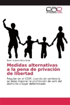 Byron Augusto Borja Borja - Medidas alternativas a la pena de privación de libertad